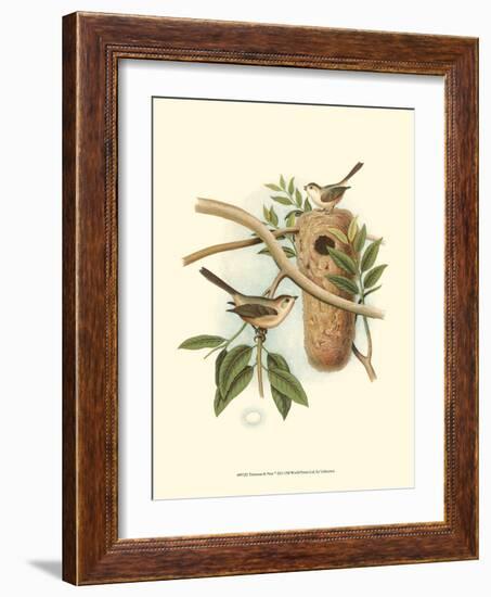 Titmouse & Nest-null-Framed Art Print