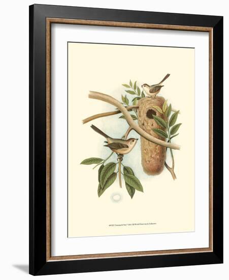 Titmouse & Nest-null-Framed Art Print