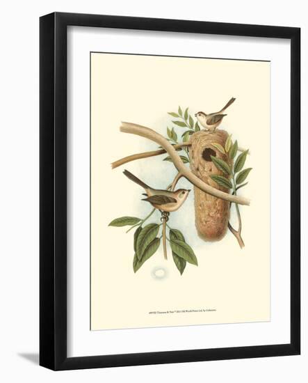Titmouse & Nest-null-Framed Art Print