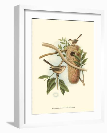 Titmouse & Nest-null-Framed Art Print