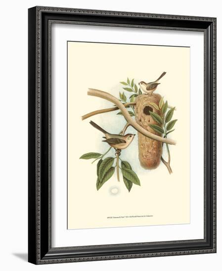 Titmouse & Nest-null-Framed Art Print