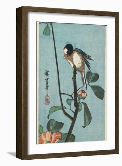 Titmouse on Camelia, 1830-1858-Utagawa Hiroshige-Framed Giclee Print