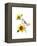 Titmouse with Sunflower, 2016-John Keeling-Framed Premier Image Canvas
