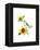 Titmouse with Sunflower, 2016-John Keeling-Framed Premier Image Canvas