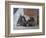 Tiverton, 1997-Caroline Hervey-Bathurst-Framed Giclee Print