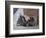 Tiverton, 1997-Caroline Hervey-Bathurst-Framed Giclee Print