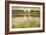 Tiverton Lake-Jack Roth-Framed Art Print