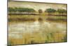 Tiverton Lake-Jack Roth-Mounted Art Print