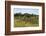Tiya, an archaeological site of carved stelae, Ethiopia-Keren Su-Framed Photographic Print