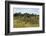 Tiya, an archaeological site of carved stelae, Ethiopia-Keren Su-Framed Photographic Print