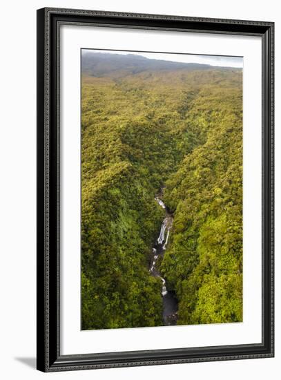 TNC Waikamoi Preserve, Maui, Hawaii, USA: Nature Conservancy's Waikamoi Preserve, From Helicopter-Axel Brunst-Framed Photographic Print