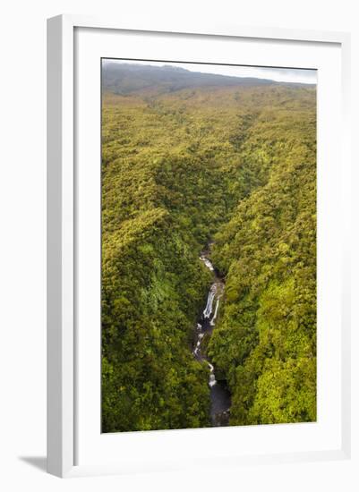 TNC Waikamoi Preserve, Maui, Hawaii, USA: Nature Conservancy's Waikamoi Preserve, From Helicopter-Axel Brunst-Framed Photographic Print