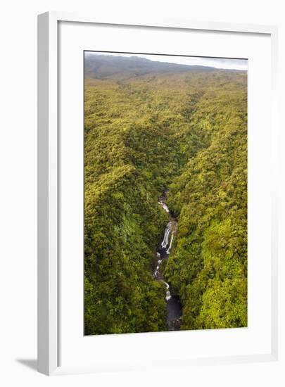 TNC Waikamoi Preserve, Maui, Hawaii, USA: Nature Conservancy's Waikamoi Preserve, From Helicopter-Axel Brunst-Framed Photographic Print