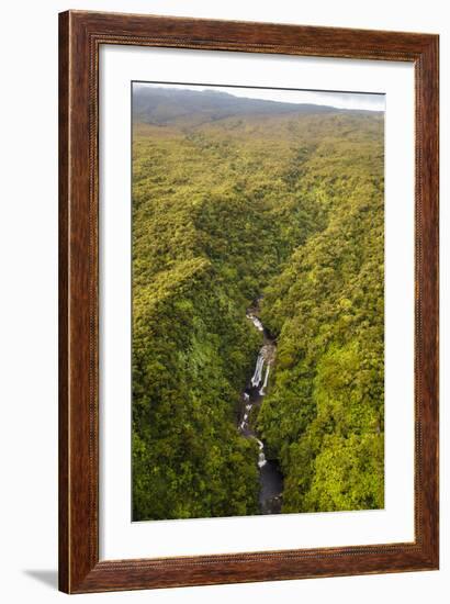 TNC Waikamoi Preserve, Maui, Hawaii, USA: Nature Conservancy's Waikamoi Preserve, From Helicopter-Axel Brunst-Framed Photographic Print