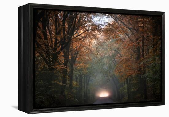 To Another Life-Philippe Manguin-Framed Premier Image Canvas