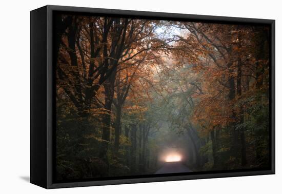 To Another Life-Philippe Manguin-Framed Premier Image Canvas