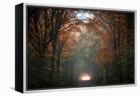 To Another Life-Philippe Manguin-Framed Premier Image Canvas