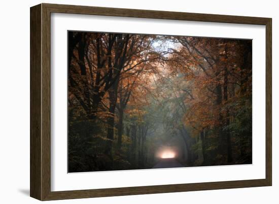 To Another Life-Philippe Manguin-Framed Photographic Print