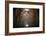 To Another Life-Philippe Manguin-Framed Photographic Print