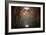 To Another Life-Philippe Manguin-Framed Photographic Print