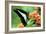 To Be a Butterfly 1988 Papillon-null-Framed Photo