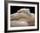To Be Half Asleep...-Thierry Dufour-Framed Photographic Print