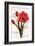 to Come into Full Bloom I-Joadoor-Framed Art Print