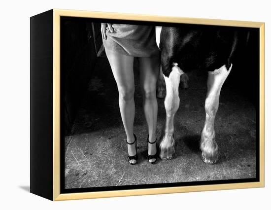 To Cool One's Heels-Hans Repelnig-Framed Premier Image Canvas