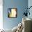 To Dream In Color IV-Sydney Edmunds-Framed Premier Image Canvas displayed on a wall
