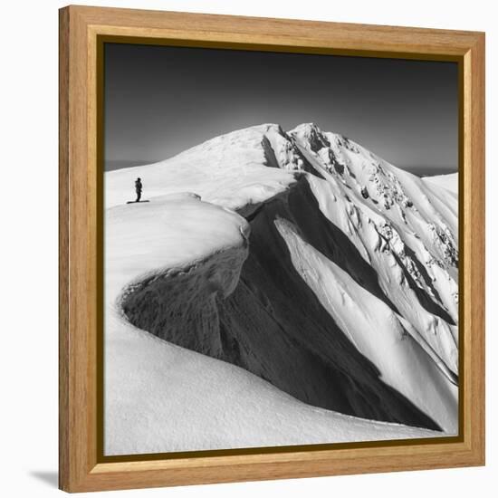 To Go, Or Not?-Matej Rumansky-Framed Premier Image Canvas