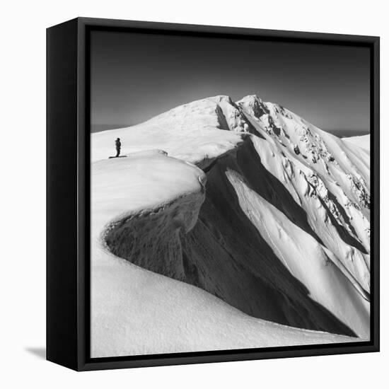 To Go, Or Not?-Matej Rumansky-Framed Premier Image Canvas