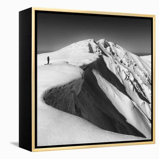 To Go, Or Not?-Matej Rumansky-Framed Premier Image Canvas