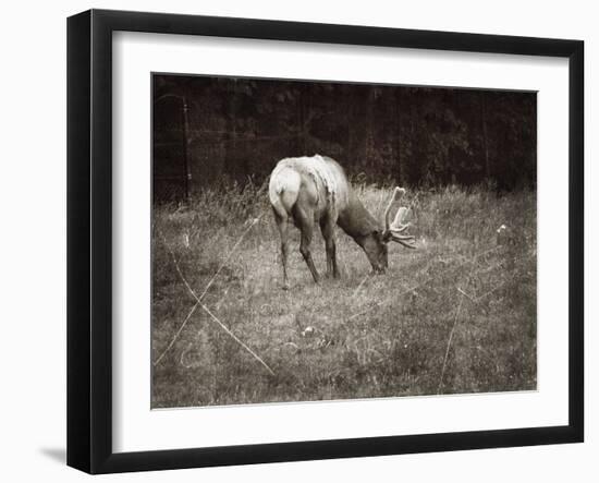 To Graze-Christy Ann-Framed Giclee Print