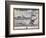 To His Excellency John Montgomerie Esq. (View of Fort George)-William Burgis-Framed Giclee Print