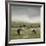 To Pastures New-Mark Chandon-Framed Art Print