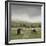 To Pastures New-Mark Chandon-Framed Art Print