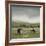 To Pastures New-Mark Chandon-Framed Art Print