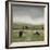 To Pastures New-Mark Chandon-Framed Art Print