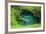 To Sua Ocean Trench in Upolu, Samoa, South Pacific, Pacific-Michael Runkel-Framed Photographic Print