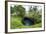 To Sue Ocean Trench in Upolu, Samoa, South Pacific-Michael Runkel-Framed Photographic Print