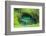 To Sue Ocean Trench in Upolu, Samoa, South Pacific-Michael Runkel-Framed Photographic Print