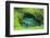 To Sue Ocean Trench in Upolu, Samoa, South Pacific-Michael Runkel-Framed Photographic Print