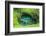 To Sue Ocean Trench in Upolu, Samoa, South Pacific-Michael Runkel-Framed Photographic Print