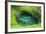 To Sue Ocean Trench in Upolu, Samoa, South Pacific-Michael Runkel-Framed Photographic Print