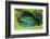 To Sue Ocean Trench in Upolu, Samoa, South Pacific-Michael Runkel-Framed Photographic Print