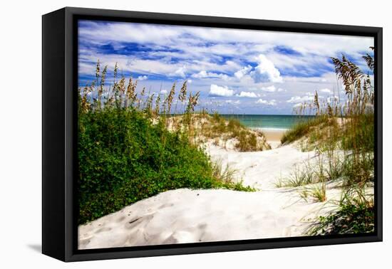 To the Beach I-Alan Hausenflock-Framed Stretched Canvas