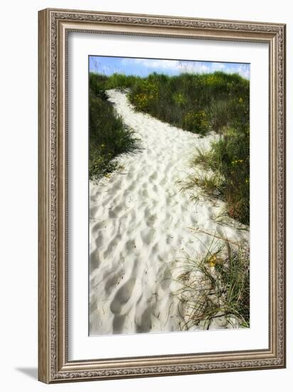 To the Beach II-Alan Hausenflock-Framed Photographic Print