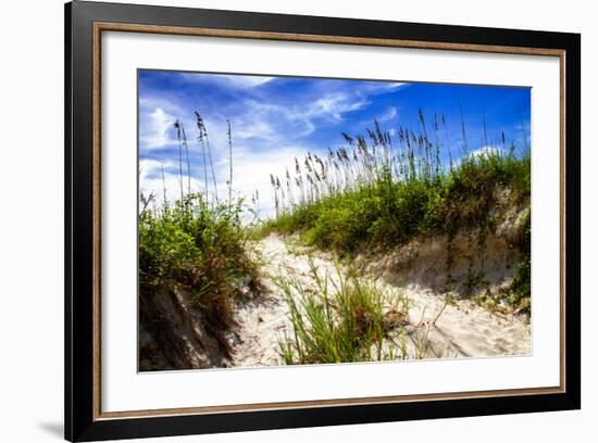 To the Beach II-Alan Hausenflock-Framed Photo