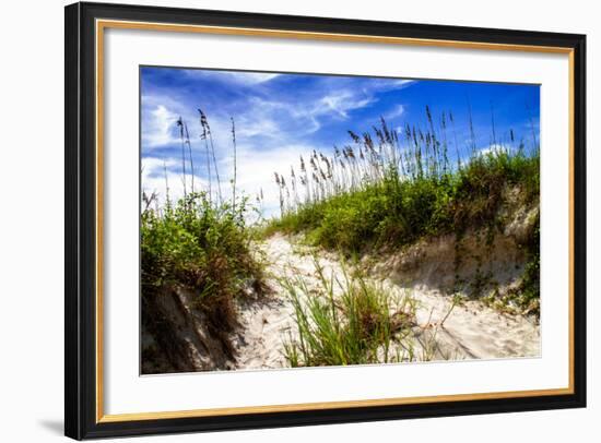 To the Beach II-Alan Hausenflock-Framed Photo