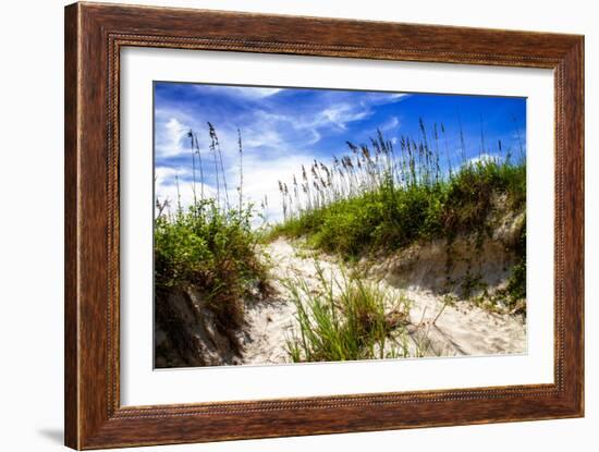 To the Beach II-Alan Hausenflock-Framed Photo